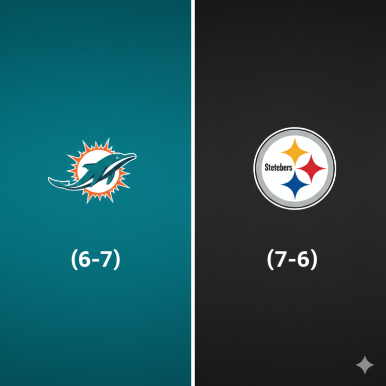 Avant-match du lundi soir Dolphins - Steelers